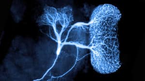 introduccion-a-la-neurocirugia-neurona-gigante Unidad de neurocirugia-Introduccion a la neurocirugia-neurociencias-neuronavegador