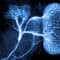 Unidad de neurocirugia-Introduccion a la neurocirugia-neurociencias-neuronavegador