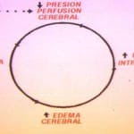 circulo-vicioso-evolucion docencia-pregraduados-facultad de medicina uam- circulo-vicioso-evolucion