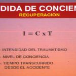 esquema-afectacion-funciones-impacto-2 docencia-pregraduados-facultad de medicina uam- esquema-afectacion-funciones-impacto-2