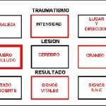 esquema-hooper-4 docencia-pregraduados-facultad de medicina uam- esquema-hooper-4