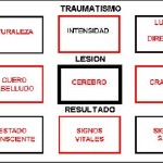 esquema-hooper-6 docencia-pregraduados-facultad de medicina uam- esquema-hooper-6