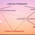 esquema-relacion-lesion-primaria-secundaria docencia-pregraduados-facultad de medicina uam- esquema-relacion-lesion-primaria-secundaria
