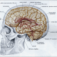 Casos clinicos de neurocirugia funcional - hipertension-endocraneana